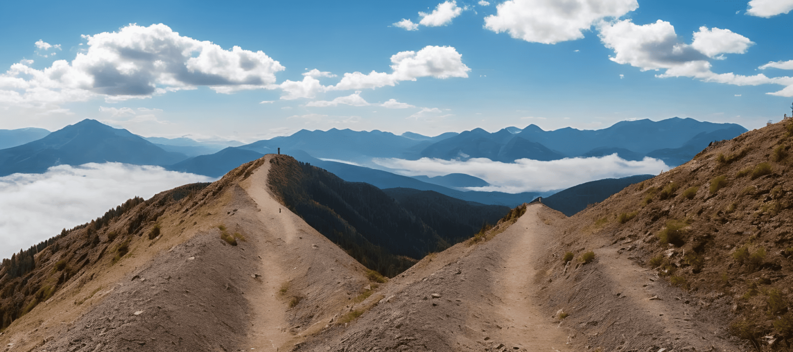 Ayla Deine digitale Schamanin - Wie Du Deinen eigenen Purpose findest